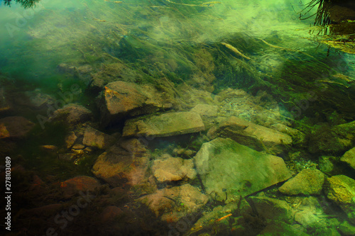 The green bottom of the stony creek. © Evgeniya