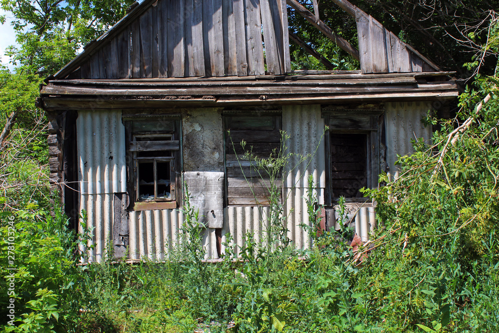 The rustic ruined hut, which stands alone among the summer trees. The rustic ruined hut, which stands alone among the summer trees.