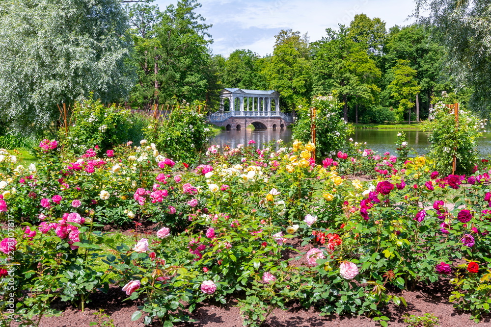 Marble bridge and flowers in Catherine park, Tsarskoe Selo, Saint Petersburg, Russia