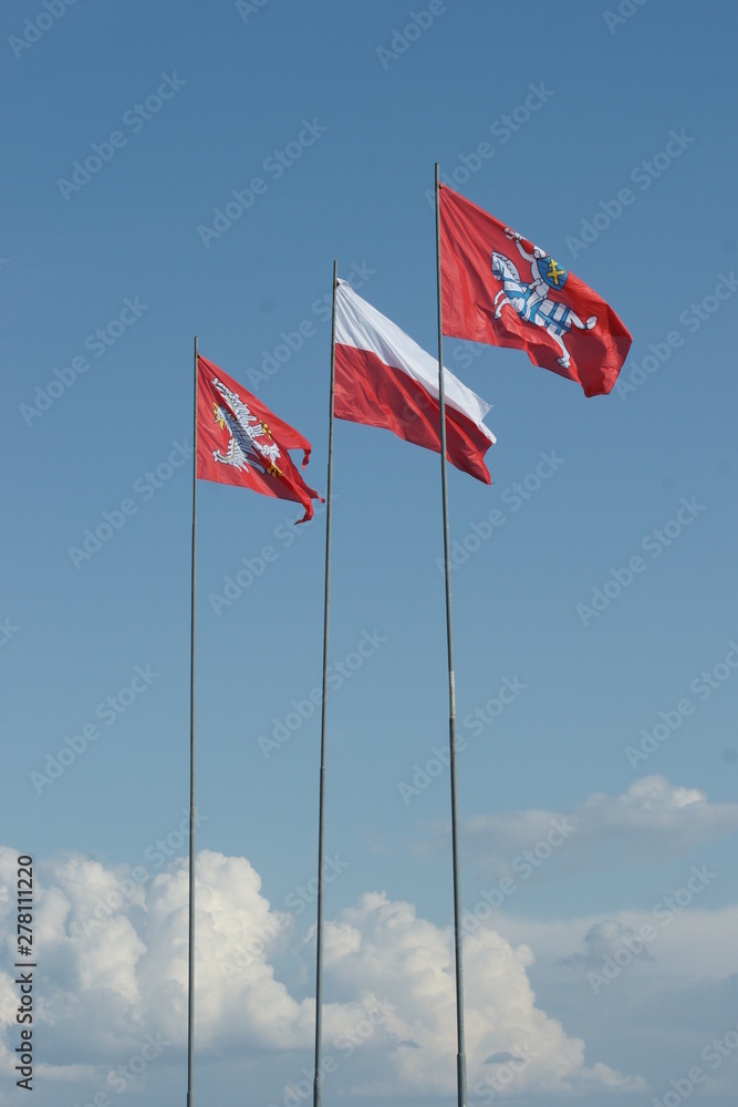 Grunwald - chorągwie polska i litewska Grunwald - chorągwie polska i litewska