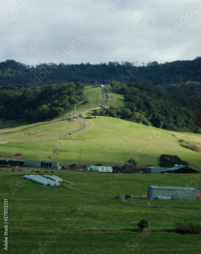 Coastal pasture NSW Australia