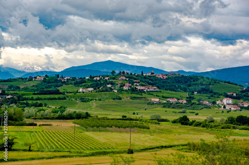 vineyards of collio