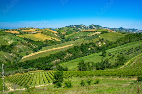 Abruzzo Vineyards © Jesse