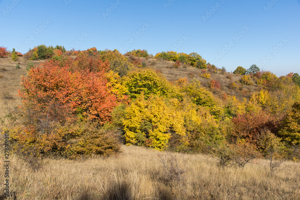 Autumn view of Cherna Gora mountain, Bulgaria Autumn view of Cherna Gora mountain, Bulgaria