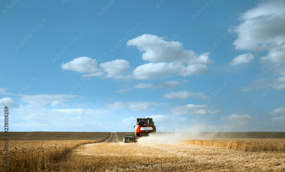 Combine harvester works. Harvesting wheat in the field on a Sunny day. Beautiful, bright, natural landscape with colorful sky. The concept of work in agriculture, outdoors. Combine harvester works. Harvesting wheat in the field on a Sunny day. Beautiful, bright, natural landscape with colorful sky. The concept of work in agriculture, outdoors.