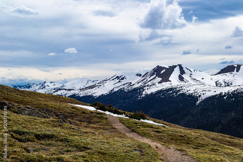 a barren hiking trail in the alpine tundra a barren hiking trail in the alpine tundra