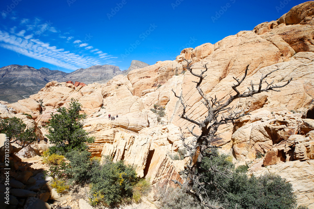 Rock Formations in Red Rock Canyon, Nevada, USA Rock Formations in Red Rock Canyon, Nevada, USA