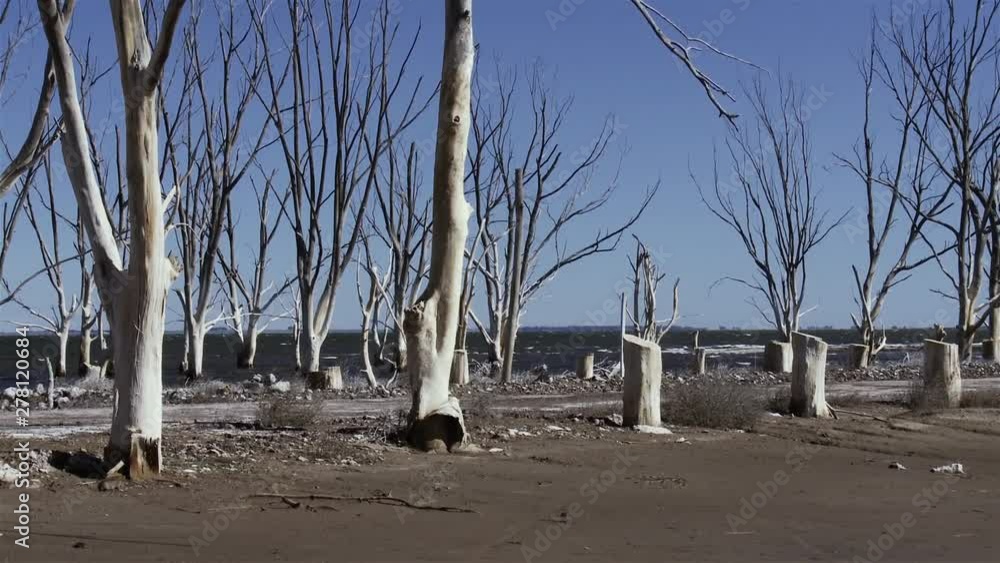 Dead Trees in the lake near the Submerged Dead City Epecuen, in Argentina. Dead Trees in the lake near the Submerged Dead City Epecuen, in Argentina.