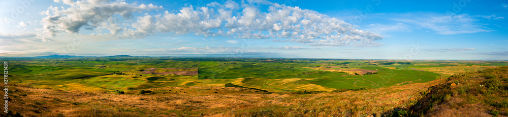 Panoramic View of the Stunning Palouse Landscape of Eastern Washington. Colors seem to shift and change in the light on the rolling agricultural landscape from  Steptoe Butte State Park.