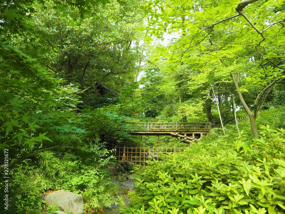 Obraz premium Arisugawanomiyakinen Park in Tokyo Japan