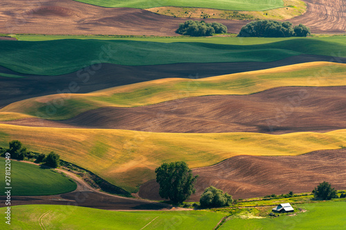 Beautiful Farmland Patterns Seen From Steptoe Butte, Washington. High above the Palouse Hills on the eastern edge of Washington, Steptoe Butte offers unparalleled views of a truly unique landscape. photo