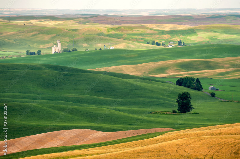 Fototapeta Beautiful Farmland Patterns Seen From Steptoe Butte, Washington. High above the Palouse Hills on the eastern edge of Washington, Steptoe Butte offers unparalleled views of a truly unique landscape.