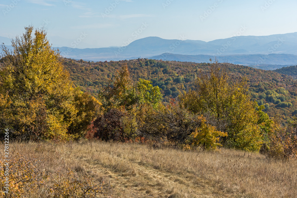 Autumn view of Cherna Gora mountain, Bulgaria