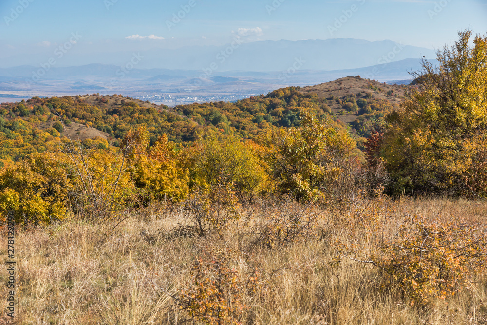 Fototapeta premium Autumn view of Cherna Gora mountain, Bulgaria