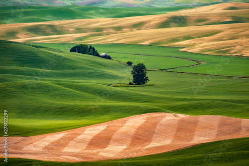 Beautiful Farmland Patterns Seen From Steptoe Butte, Washington. High above the Palouse Hills on the eastern edge of Washington, Steptoe Butte offers unparalleled views of a truly unique landscape. photo