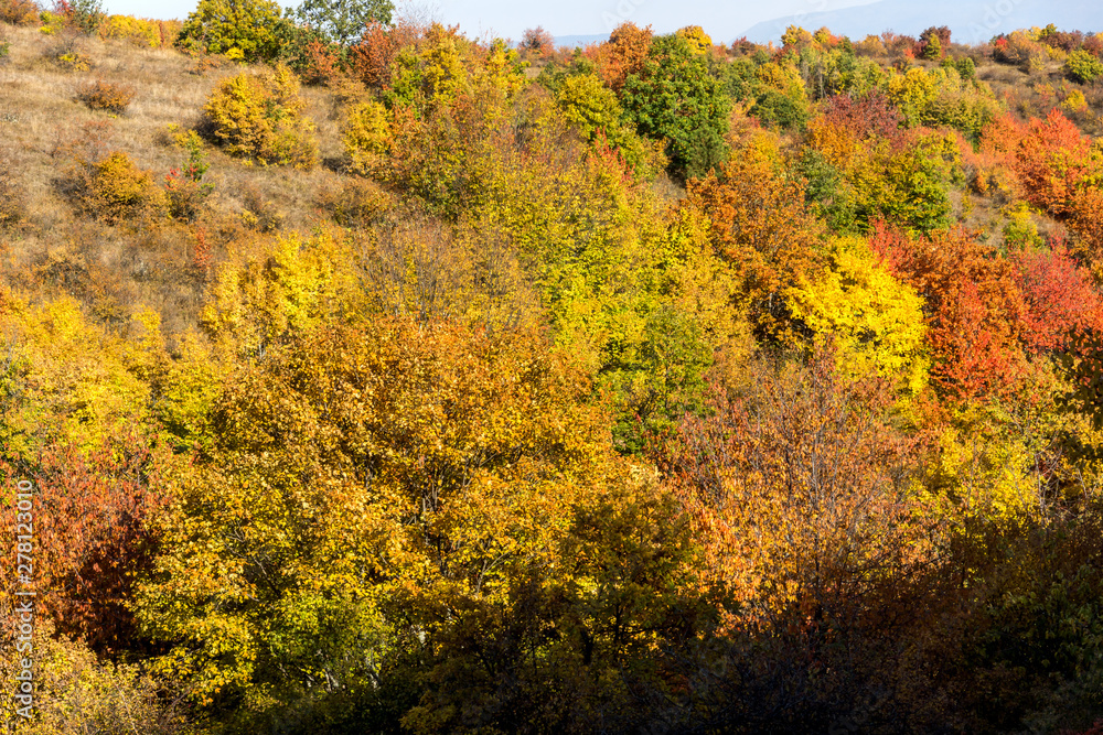 Autumn view of Cherna Gora mountain, Bulgaria Autumn view of Cherna Gora mountain, Bulgaria