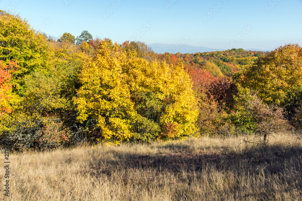 Autumn view of Cherna Gora mountain, Bulgaria Autumn view of Cherna Gora mountain, Bulgaria