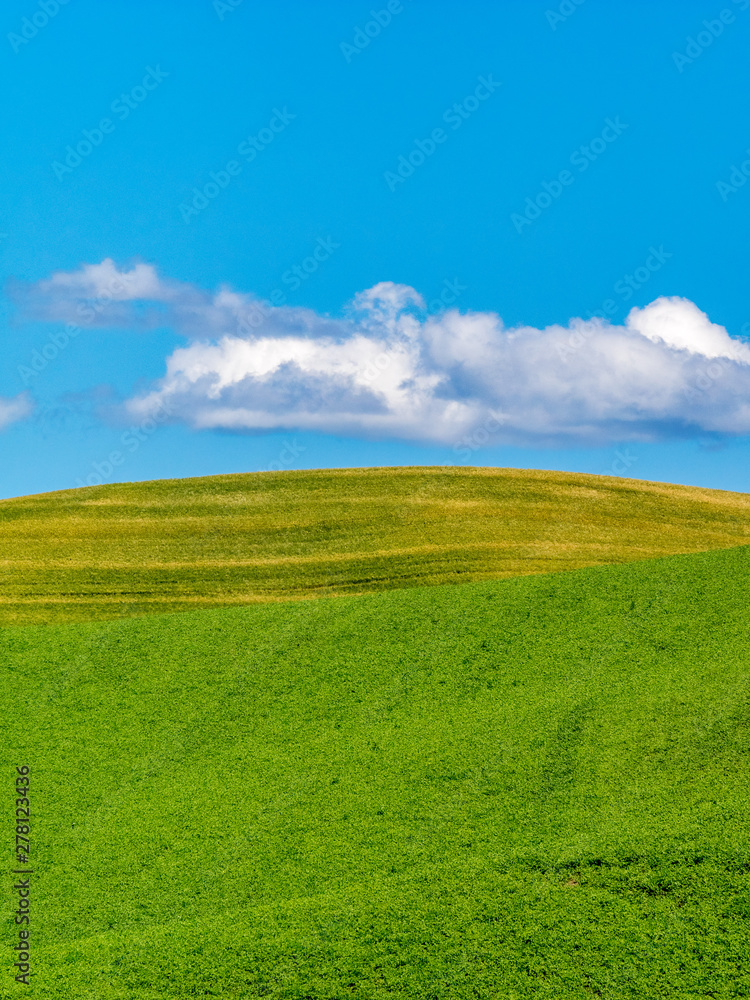 Fototapeta premium Farm Land Along Palouse Washington