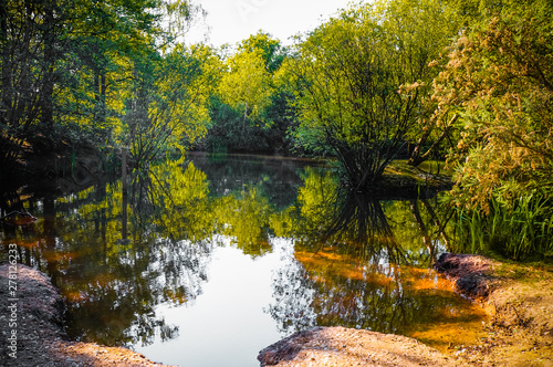 Fototapeta Naklejka Na Ścianę i Meble -  An undisturbed pond of water among fresh green trees of Epping Forest in United Kingdom.