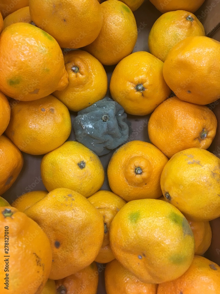 One rotten lemon among the yellow ones in the box One rotten lemon among the yellow ones in the box
