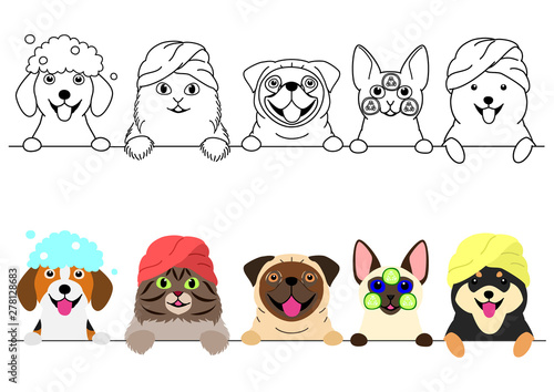 cats and dogs enjoying spa in a row