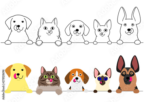 cats and dogs licking their lips in a row
