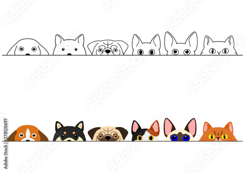 funny peeking cats and dogs border set