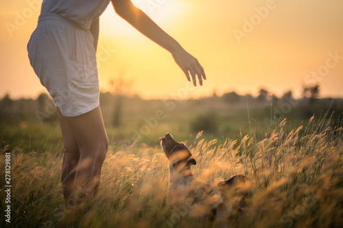 Beauty Girl Outdoors enjoying nature with her dog. Beautiful Teenage Model girl in the Spring Field, Sun Light.
