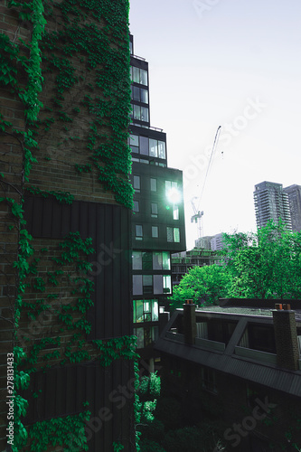 Lush Urban Sunset