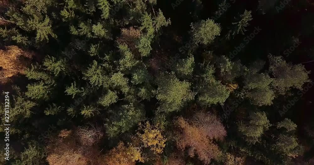 Sunrise in autumn forest. Morning sun rays in green and yellow bright trees. Nature landscape footage. Early morning forest. Beautiful Russian nature. Romantic Belarus cinematic mood. Sunrise in autumn forest. Morning sun rays in green and yellow bright trees. Nature landscape footage. Early morning forest. Beautiful Russian nature. Romantic Belarus cinematic mood.