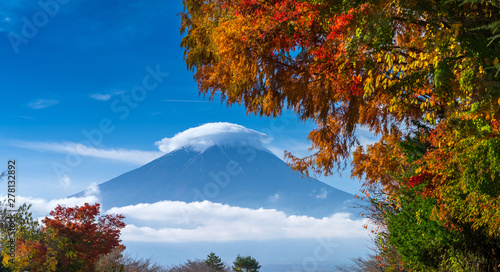 Mt. Fuji in autumn
