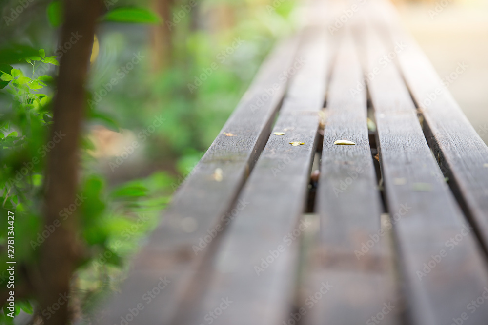 Selective focus of Wooden bench in the garden with sunlight