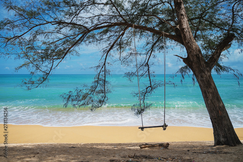 big tree and wooden swing seat on the beach  © Songsak C