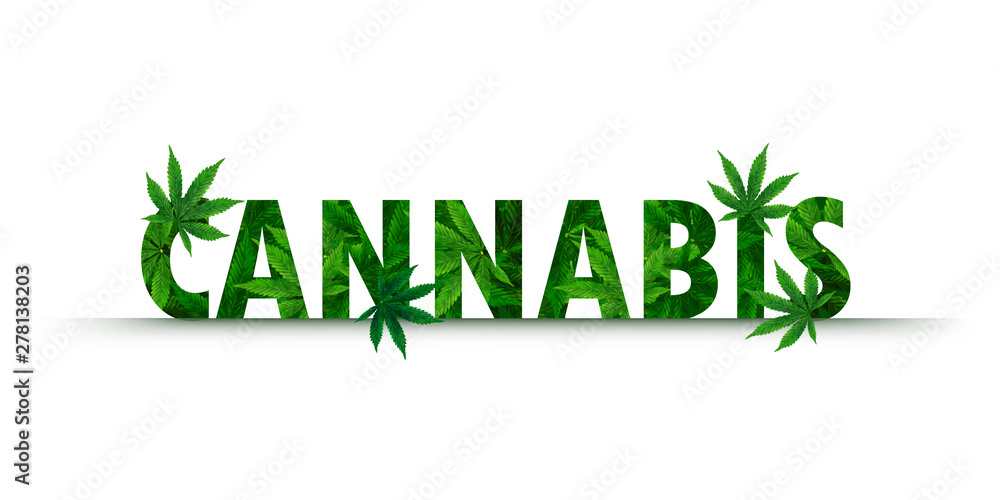 Marijuana or Cannabis Leaf background. Realistic vector illustration of the plant in top view.