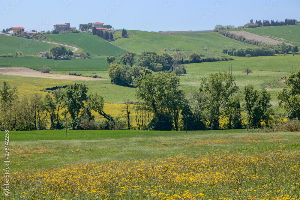 Landscape of Marche