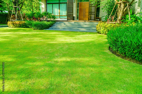Green grass, Modern house with beautiful landscaped front yard, Lawn and garden blur background., The design concept for background, garden with green lawn and garden