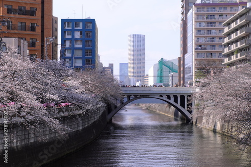 Wallpaper Mural 目黒新橋と桜の風景 Torontodigital.ca