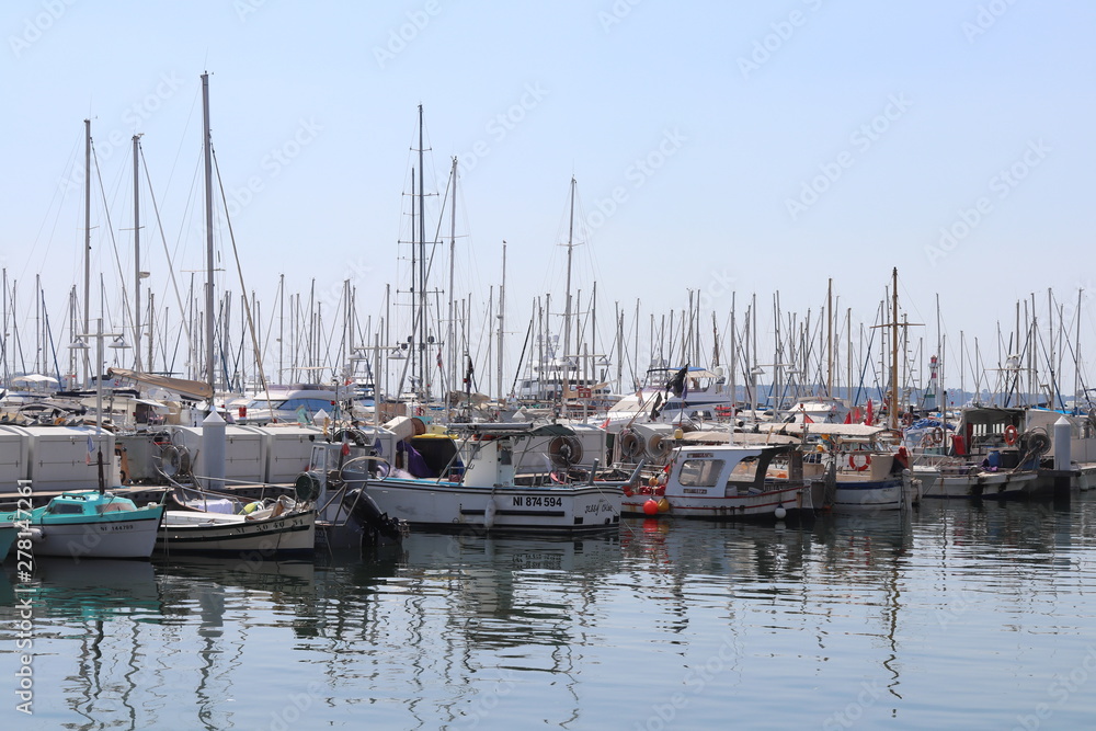 boats in marina