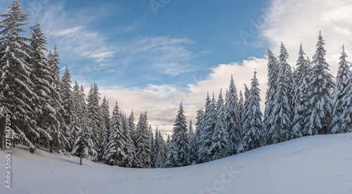 Winter day in woodland © firewings