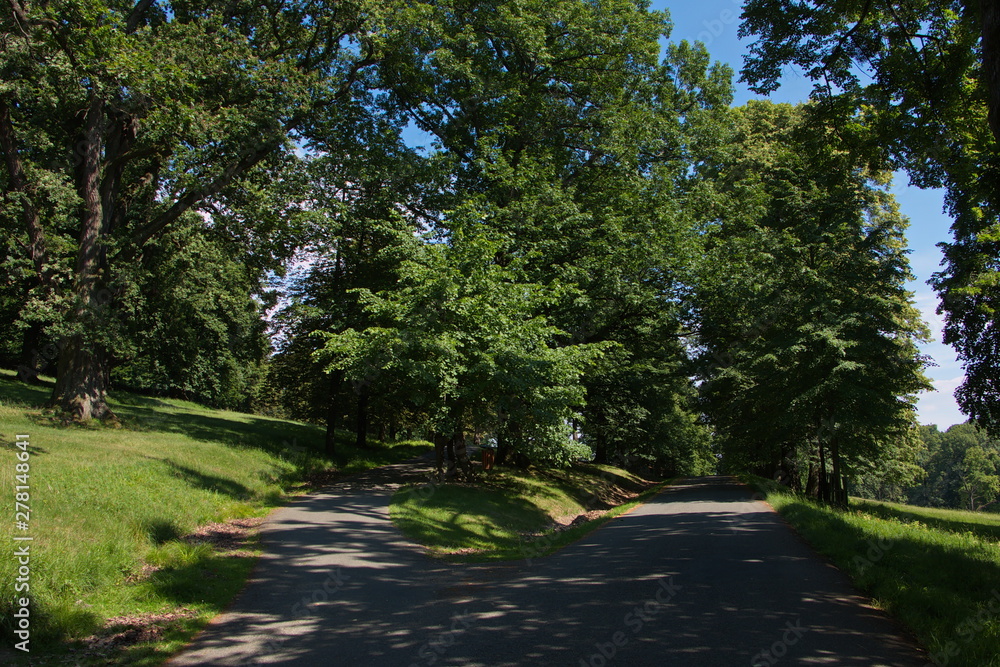 Landscape in the park Landscape in the park