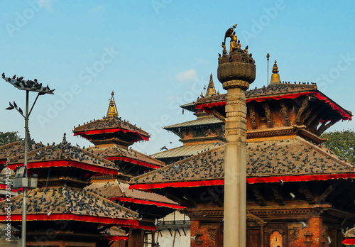 Kathmandu Durbar Square (Basantapur Darbar Kshetra), Nepal. 6 buildings visible, decorated with red ribbons. One pillar in front of them. On every rooftop sit thousands of pigeons. bright colors. photo
