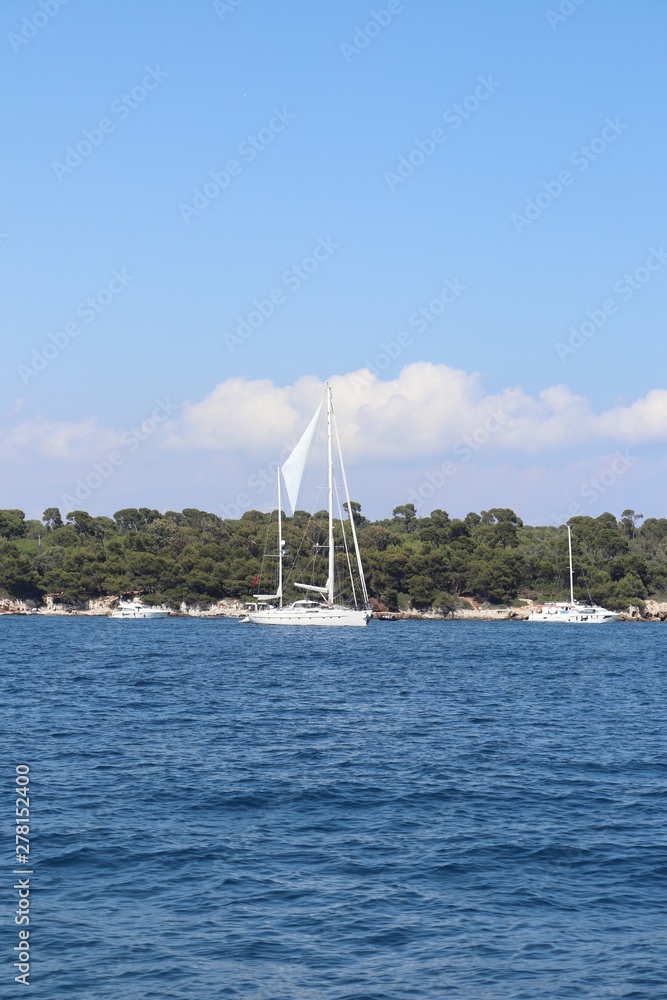 Obraz premium sailing boat on the river