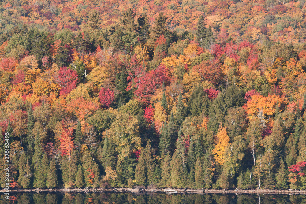 Obraz premium Couleurs d'automne