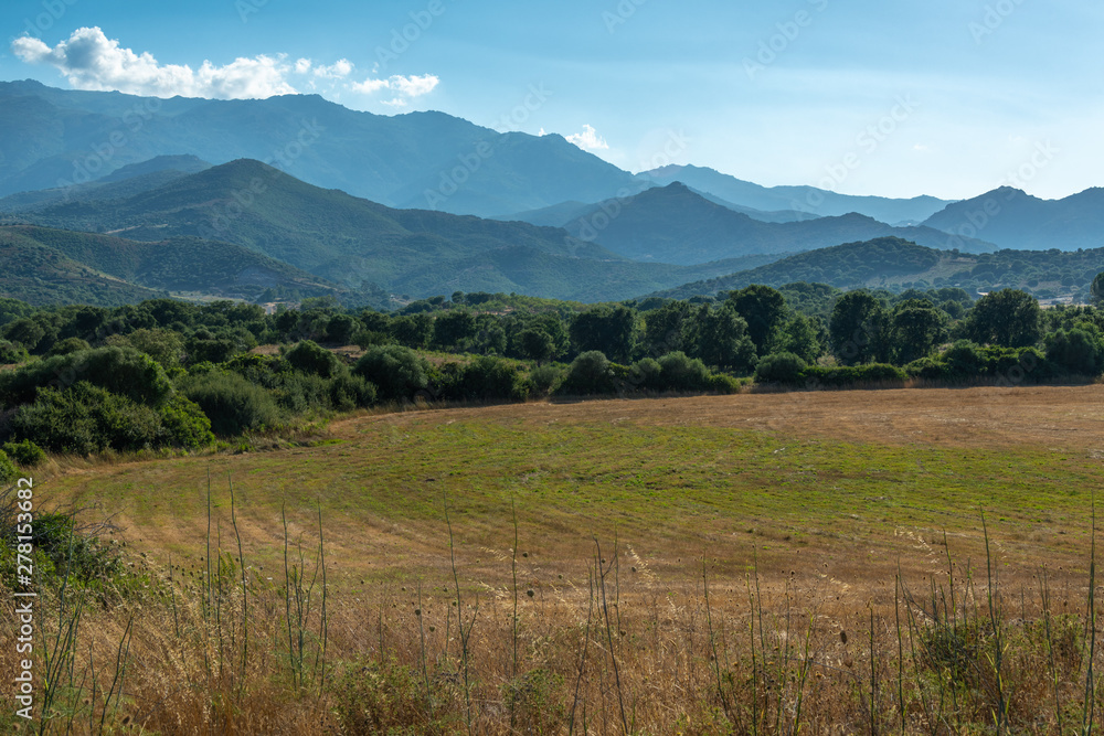 Beautiful countryside landscape in the Plain of Oletta, Corsica