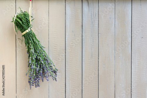 fresh lavender hangs to a bouquet tied to a white wooden wall for drying