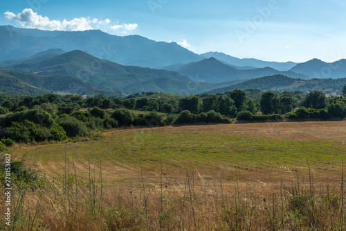 Beautiful countryside landscape in the Plain of Oletta, Corsica