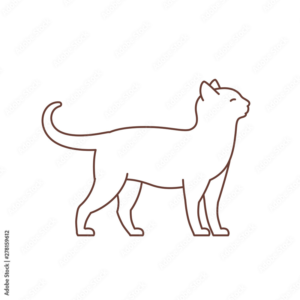 Cat. Adult elegant cat. Animal pet. Pussy. Outline contour line vector illustration.