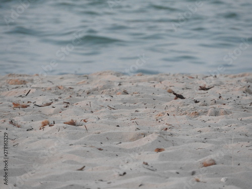 Beautiful sandy and clear water beach, Djerba island, Tunisia