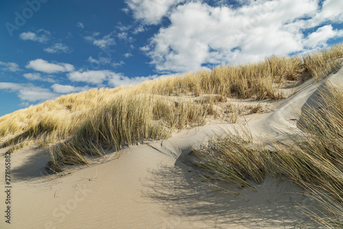 Domburg - View from Beach to Grass Dunes /Netherlands