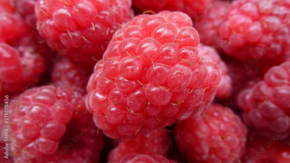 fresh raspberries background fresh raspberries background